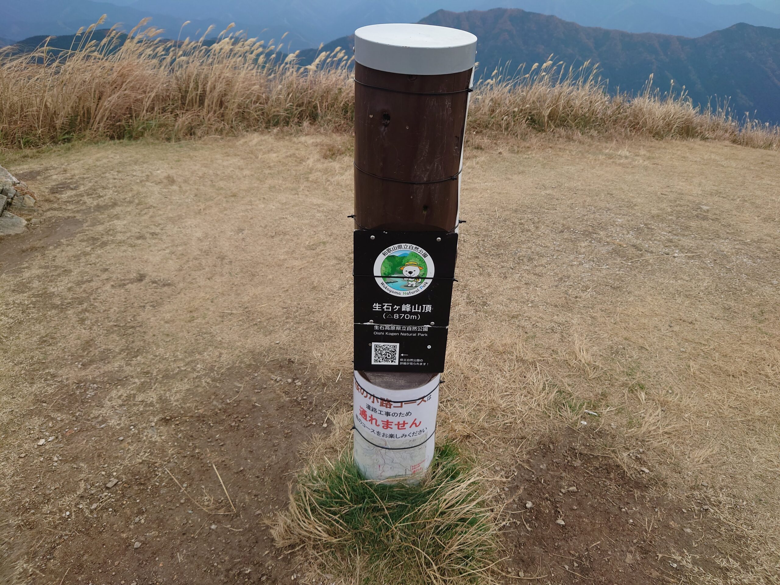 秋の生石高原のススキと山頂周辺の景色