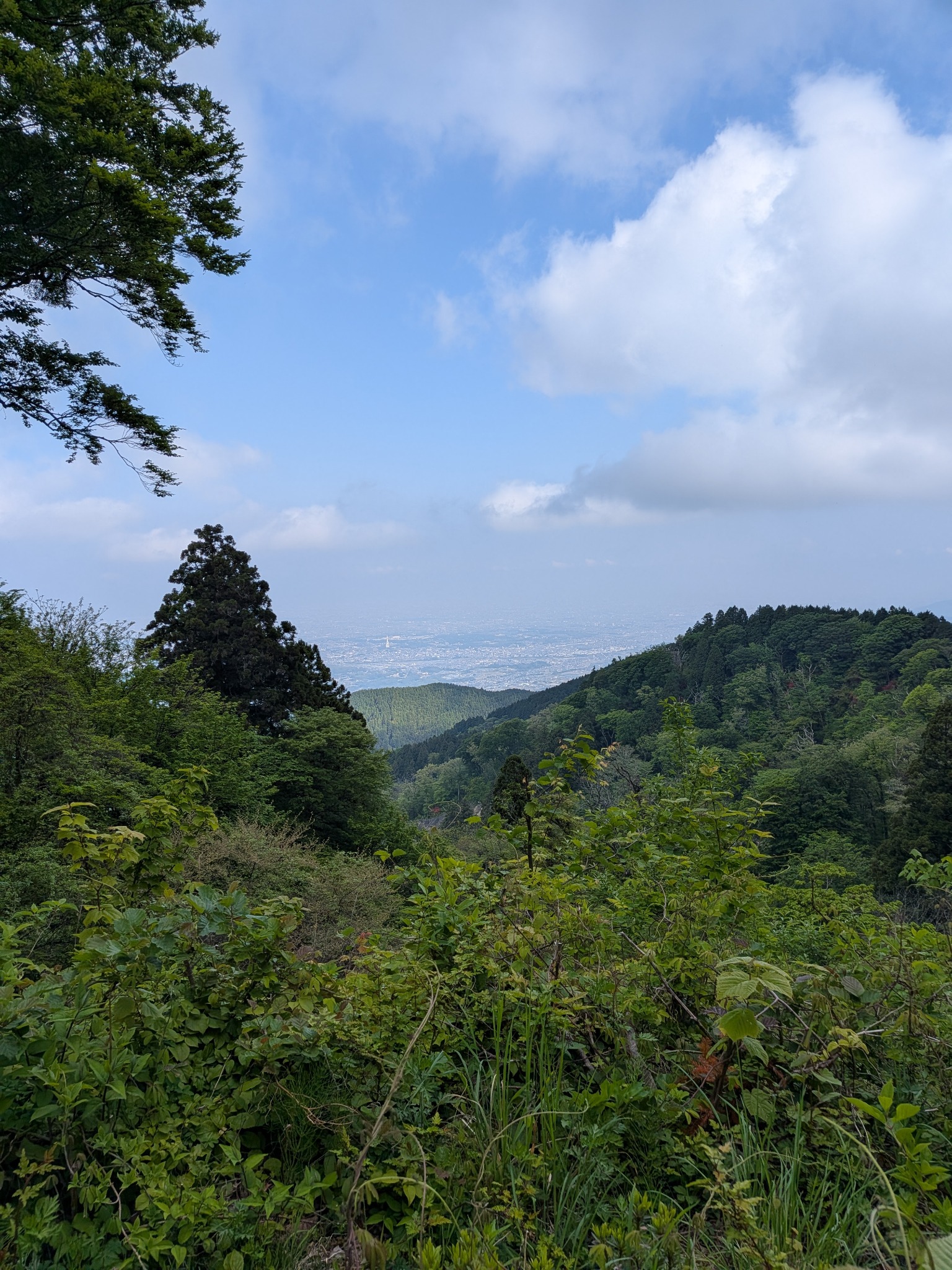 金剛山の登山中に見えた山並みと街の眺望